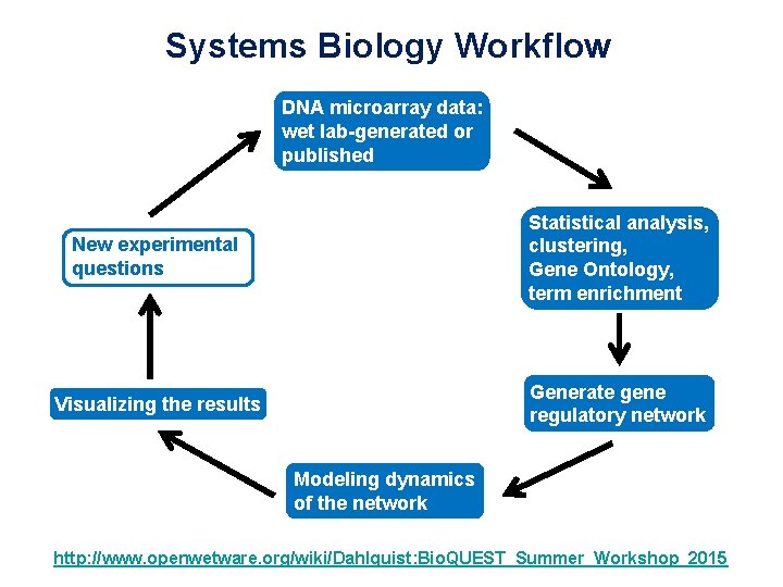 Systems Biology Workflow DNA microarray data: wet lab-generated or published New experimental questions Statistical