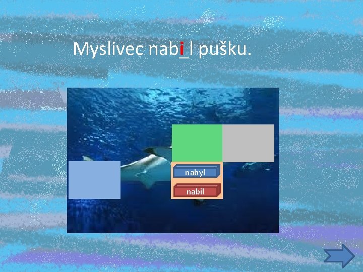 Myslivec nab_l i pušku. nabyl nabil 