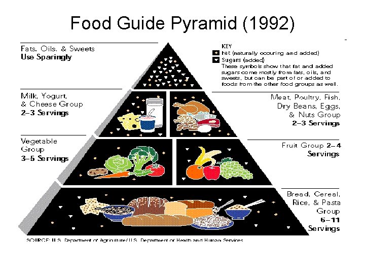 Food Guide Pyramid (1992) 