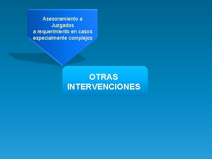Asesoramiento a Juzgados a requerimiento en casos especialmente complejos OTRAS INTERVENCIONES 