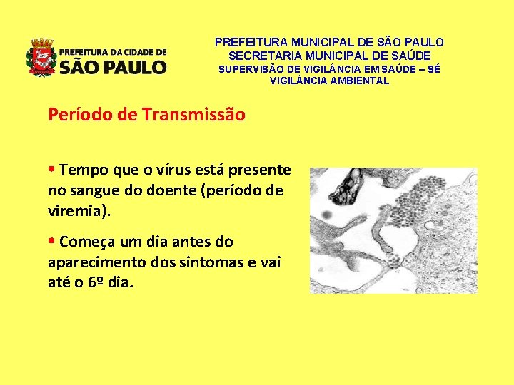 PREFEITURA MUNICIPAL DE SÃO PAULO SECRETARIA MUNICIPAL DE SAÚDE SUPERVISÃO DE VIGIL NCIA EM PREFEITURA MUNICIPAL DE SÃO PAULO SECRETARIA MUNICIPAL DE SAÚDE SUPERVISÃO DE VIGIL NCIA EM