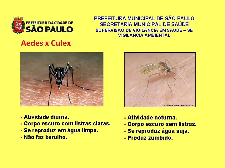PREFEITURA MUNICIPAL DE SÃO PAULO SECRETARIA MUNICIPAL DE SAÚDE Aedes x Culex SUPERVISÃO DE PREFEITURA MUNICIPAL DE SÃO PAULO SECRETARIA MUNICIPAL DE SAÚDE Aedes x Culex SUPERVISÃO DE