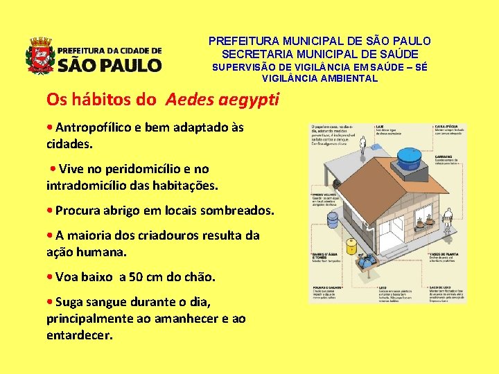 PREFEITURA MUNICIPAL DE SÃO PAULO SECRETARIA MUNICIPAL DE SAÚDE SUPERVISÃO DE VIGIL NCIA EM PREFEITURA MUNICIPAL DE SÃO PAULO SECRETARIA MUNICIPAL DE SAÚDE SUPERVISÃO DE VIGIL NCIA EM