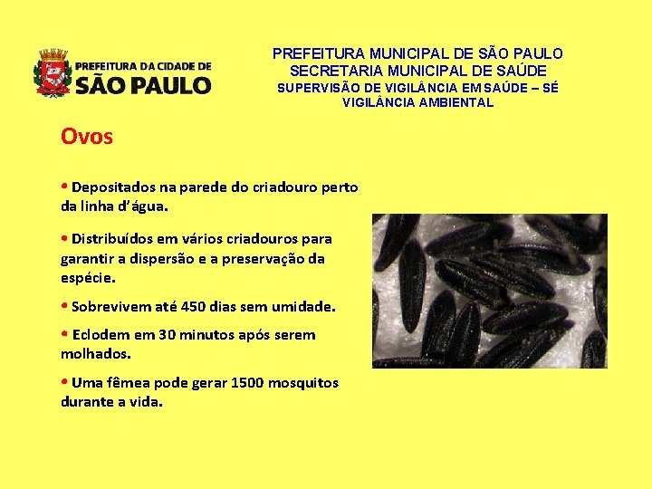 PREFEITURA MUNICIPAL DE SÃO PAULO SECRETARIA MUNICIPAL DE SAÚDE SUPERVISÃO DE VIGIL NCIA EM PREFEITURA MUNICIPAL DE SÃO PAULO SECRETARIA MUNICIPAL DE SAÚDE SUPERVISÃO DE VIGIL NCIA EM