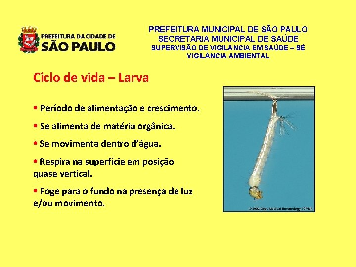 PREFEITURA MUNICIPAL DE SÃO PAULO SECRETARIA MUNICIPAL DE SAÚDE SUPERVISÃO DE VIGIL NCIA EM PREFEITURA MUNICIPAL DE SÃO PAULO SECRETARIA MUNICIPAL DE SAÚDE SUPERVISÃO DE VIGIL NCIA EM