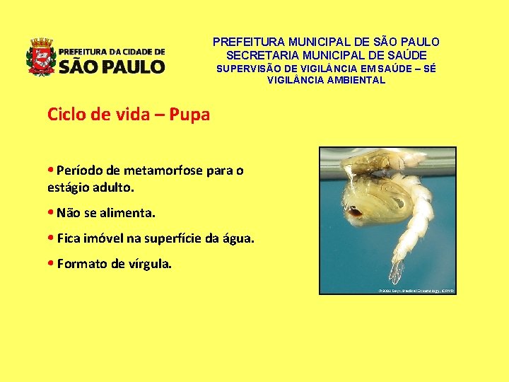 PREFEITURA MUNICIPAL DE SÃO PAULO SECRETARIA MUNICIPAL DE SAÚDE SUPERVISÃO DE VIGIL NCIA EM PREFEITURA MUNICIPAL DE SÃO PAULO SECRETARIA MUNICIPAL DE SAÚDE SUPERVISÃO DE VIGIL NCIA EM