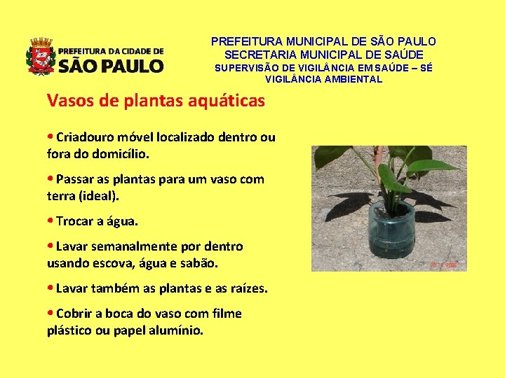 PREFEITURA MUNICIPAL DE SÃO PAULO SECRETARIA MUNICIPAL DE SAÚDE SUPERVISÃO DE VIGIL NCIA EM PREFEITURA MUNICIPAL DE SÃO PAULO SECRETARIA MUNICIPAL DE SAÚDE SUPERVISÃO DE VIGIL NCIA EM