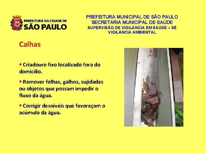 PREFEITURA MUNICIPAL DE SÃO PAULO SECRETARIA MUNICIPAL DE SAÚDE SUPERVISÃO DE VIGIL NCIA EM PREFEITURA MUNICIPAL DE SÃO PAULO SECRETARIA MUNICIPAL DE SAÚDE SUPERVISÃO DE VIGIL NCIA EM