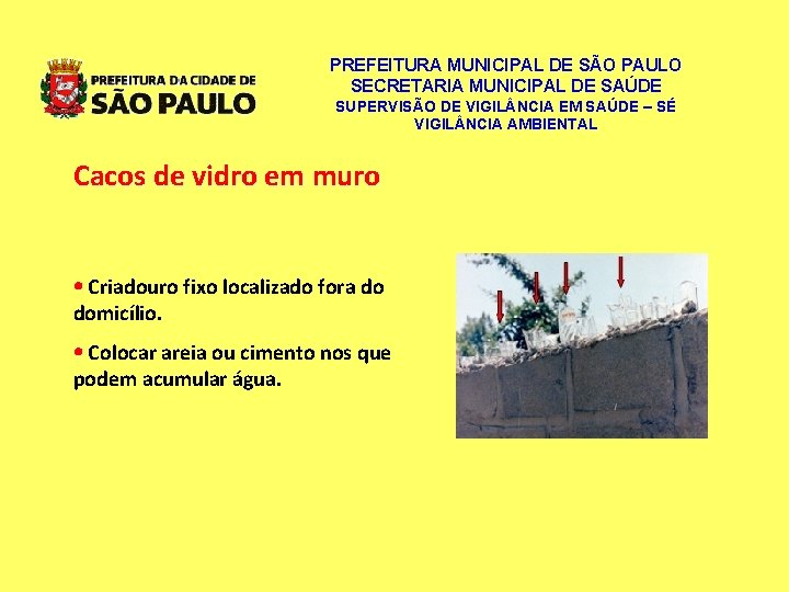 PREFEITURA MUNICIPAL DE SÃO PAULO SECRETARIA MUNICIPAL DE SAÚDE SUPERVISÃO DE VIGIL NCIA EM PREFEITURA MUNICIPAL DE SÃO PAULO SECRETARIA MUNICIPAL DE SAÚDE SUPERVISÃO DE VIGIL NCIA EM