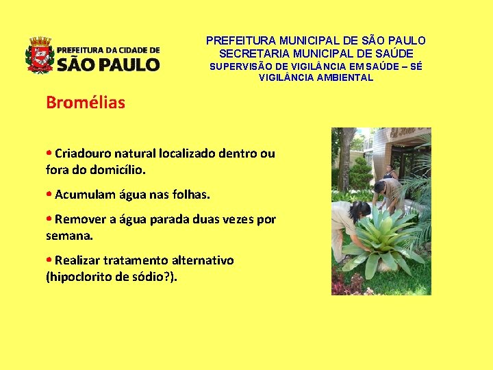 PREFEITURA MUNICIPAL DE SÃO PAULO SECRETARIA MUNICIPAL DE SAÚDE SUPERVISÃO DE VIGIL NCIA EM PREFEITURA MUNICIPAL DE SÃO PAULO SECRETARIA MUNICIPAL DE SAÚDE SUPERVISÃO DE VIGIL NCIA EM