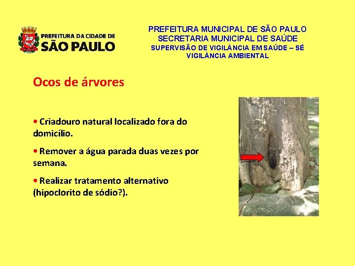 PREFEITURA MUNICIPAL DE SÃO PAULO SECRETARIA MUNICIPAL DE SAÚDE SUPERVISÃO DE VIGIL NCIA EM PREFEITURA MUNICIPAL DE SÃO PAULO SECRETARIA MUNICIPAL DE SAÚDE SUPERVISÃO DE VIGIL NCIA EM