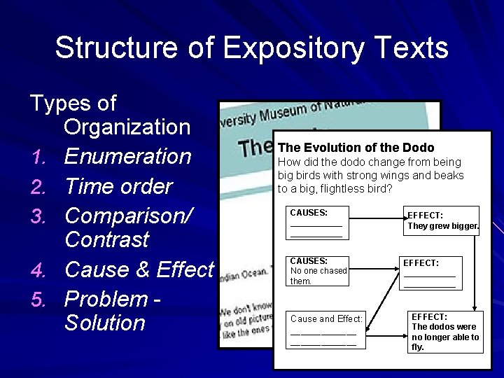 Structure of Expository Texts Types of Organization 1. Enumeration 2. Time order 3. Comparison/