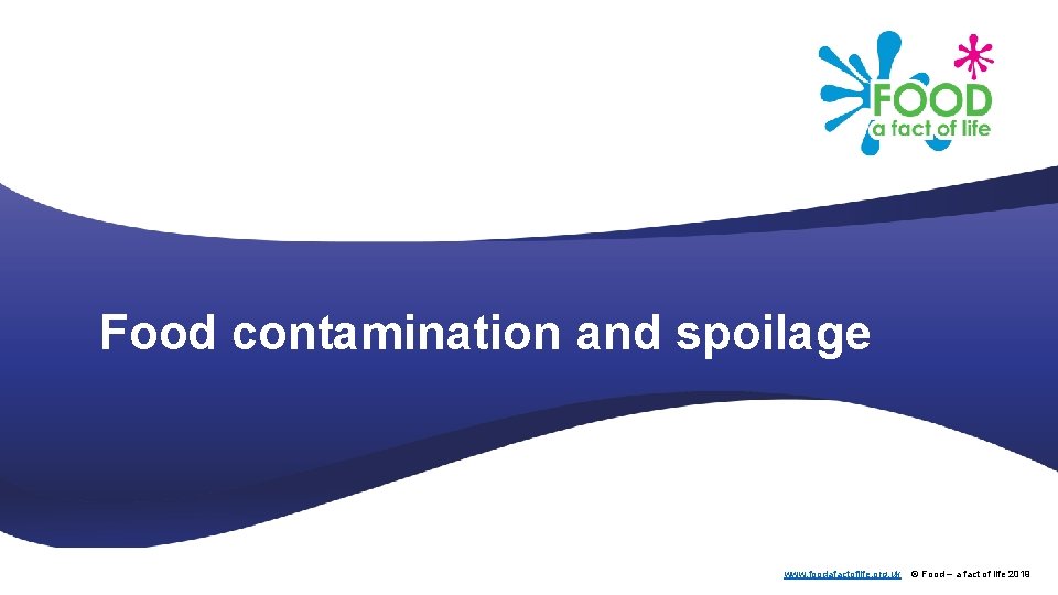 Food contamination and spoilage www. foodafactoflife. org. uk © Food – a fact of