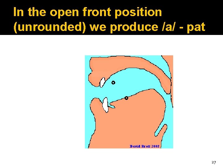 In the open front position (unrounded) we produce /a/ - pat 27 