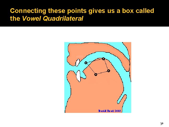Connecting these points gives us a box called the Vowel Quadrilateral 30 