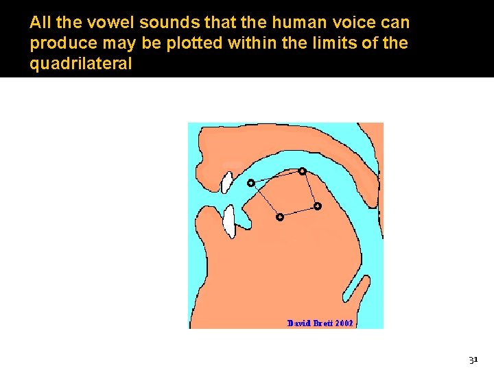 All the vowel sounds that the human voice can produce may be plotted within