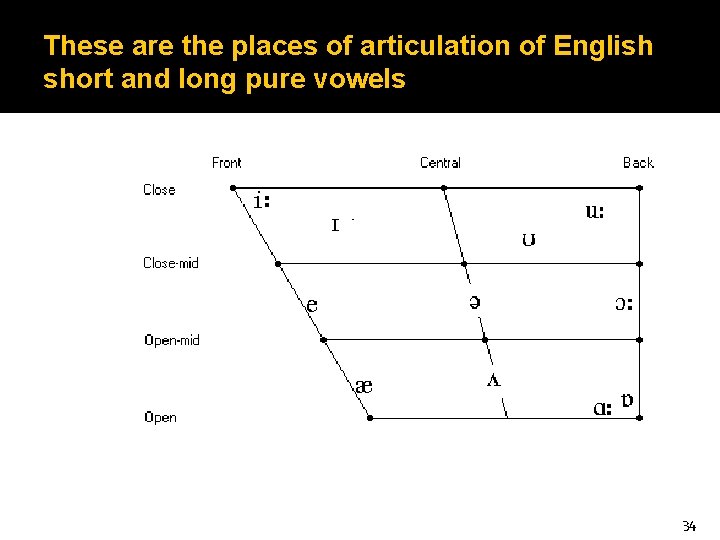 These are the places of articulation of English short and long pure vowels 34
