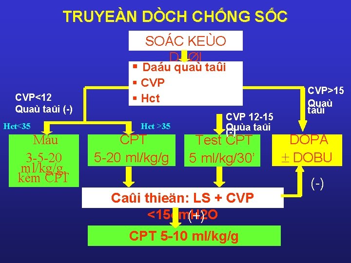 TRUYEÀN DÒCH CHỐNG SỐC SOÁC KEÙO DAØI § Daáu quaù taûi CVP<12 Quaù taûi