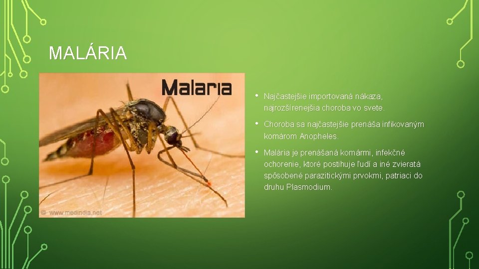 MALÁRIA • Najčastejšie importovaná nákaza, najrozšírenejšia choroba vo svete. • Choroba sa najčastejšie prenáša