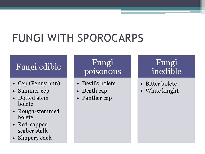 FUNGI WITH SPOROCARPS Fungi edible • Cep (Penny bun) • Summer cep • Dotted