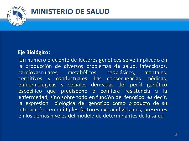 MINISTERIO DE SALUD Eje Biológico: Un número creciente de factores genéticos se ve implicado