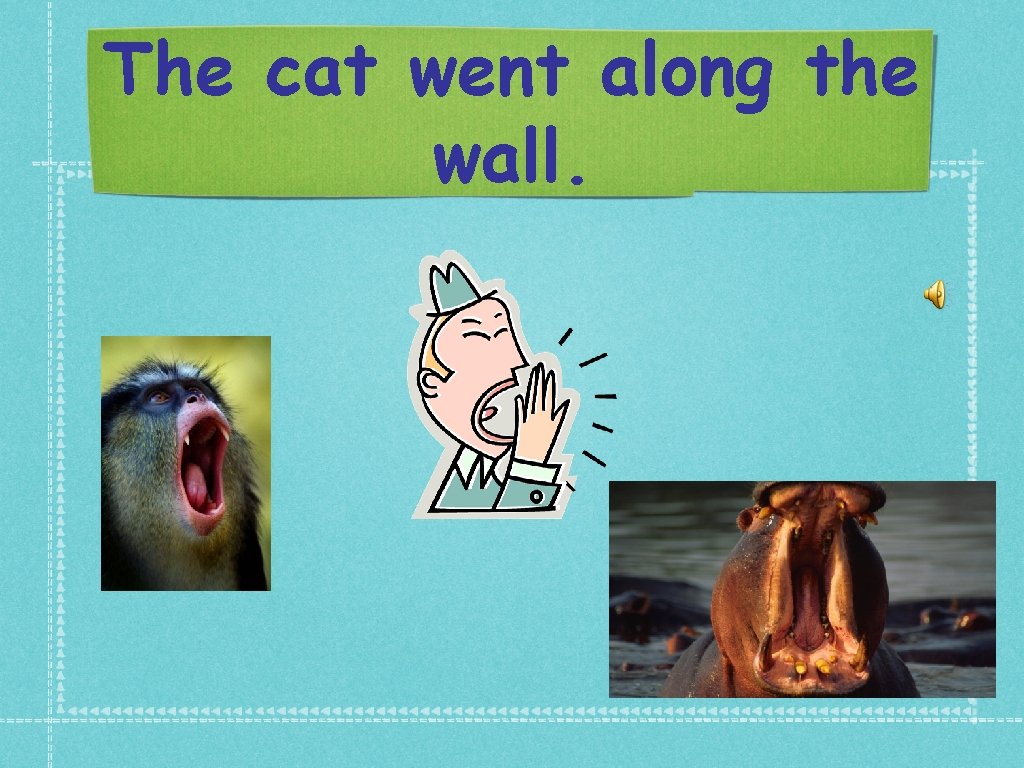 The cat went along the wall. 