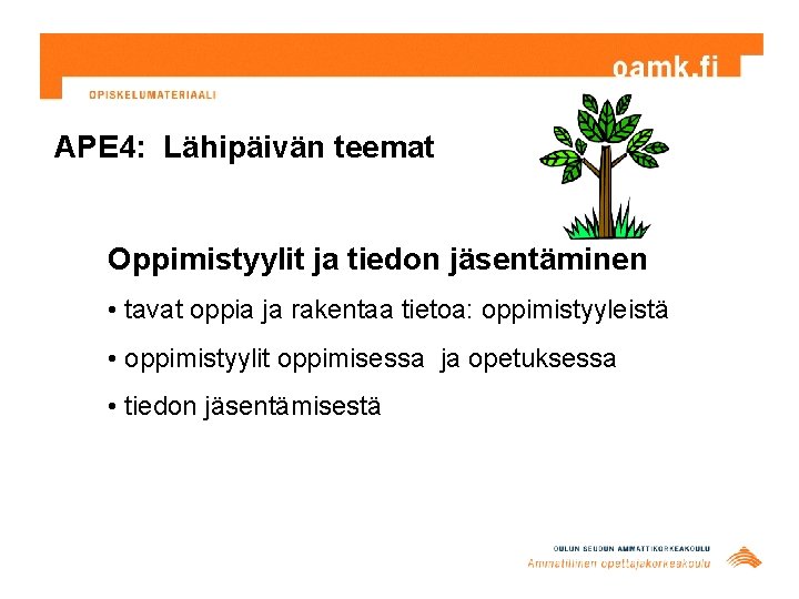 APE 4: Lähipäivän teemat Oppimistyylit ja tiedon jäsentäminen • tavat oppia ja rakentaa tietoa: APE 4: Lähipäivän teemat Oppimistyylit ja tiedon jäsentäminen • tavat oppia ja rakentaa tietoa: