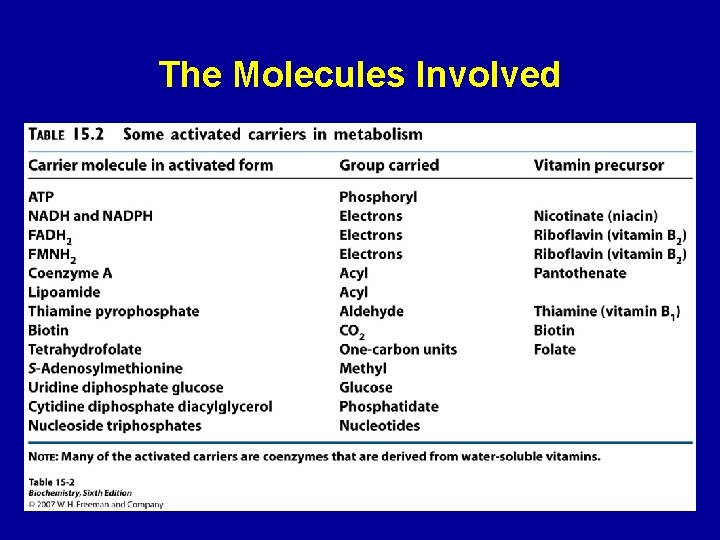 The Molecules Involved 26 