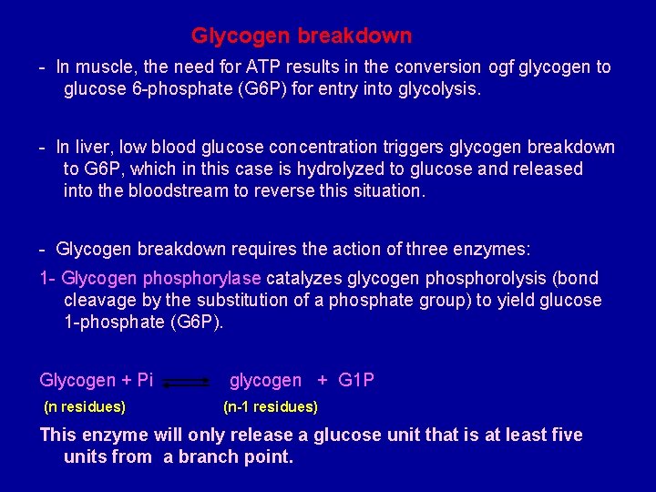 Glycogen breakdown - In muscle, the need for ATP results in the conversion ogf