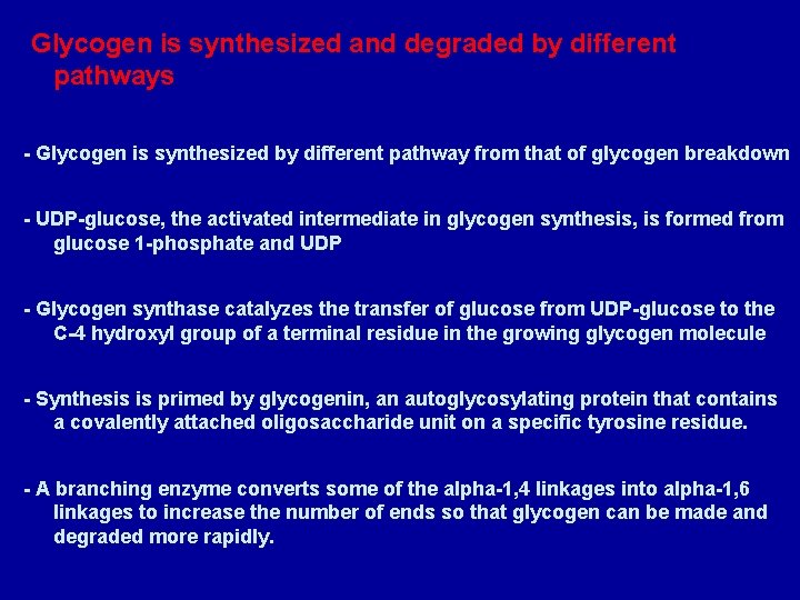 Glycogen is synthesized and degraded by different pathways - Glycogen is synthesized by different