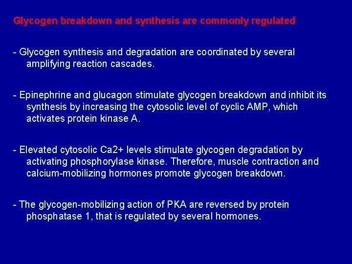 Glycogen breakdown and synthesis are commonly regulated - Glycogen synthesis and degradation are coordinated