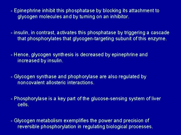 - Epinephrine inhibit this phosphatase by blocking its attachment to glycogen molecules and by
