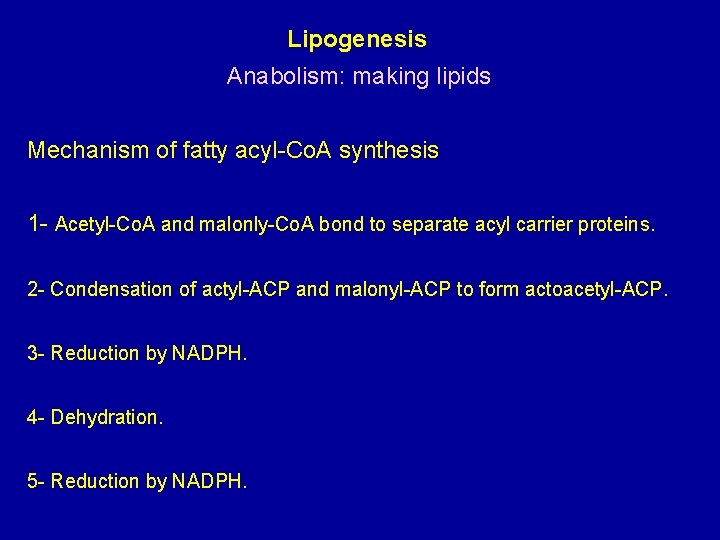 Lipogenesis Anabolism: making lipids Mechanism of fatty acyl-Co. A synthesis 1 - Acetyl-Co. A