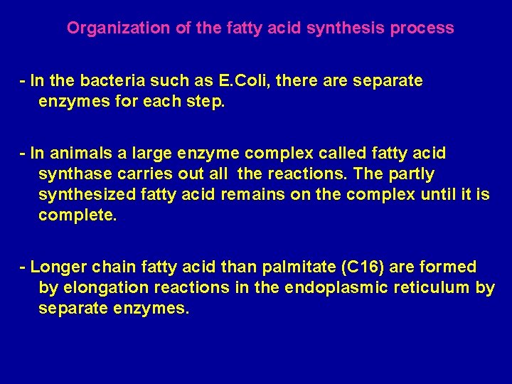 Organization of the fatty acid synthesis process - In the bacteria such as E.
