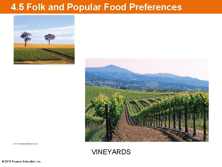 4. 5 Folk and Popular Food Preferences VINEYARDS © 2013 Pearson Education, Inc. 