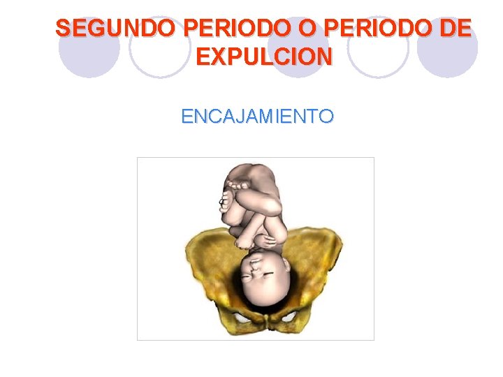 SEGUNDO PERIODO DE EXPULCION ENCAJAMIENTO SEGUNDO PERIODO DE EXPULCION ENCAJAMIENTO