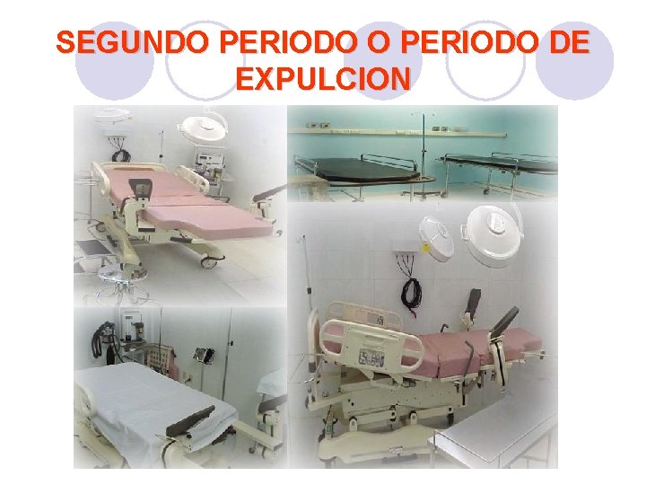 SEGUNDO PERIODO DE EXPULCION SEGUNDO PERIODO DE EXPULCION
