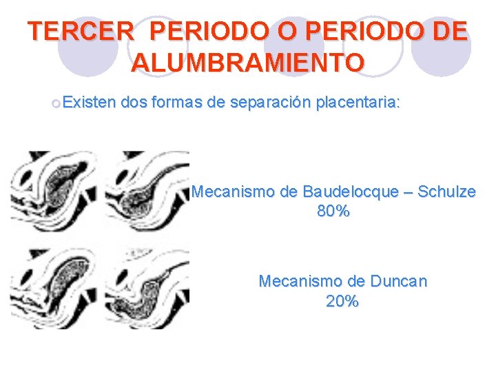 TERCER PERIODO O PERIODO DE ALUMBRAMIENTO ¡Existen dos formas de separación placentaria: Mecanismo de TERCER PERIODO O PERIODO DE ALUMBRAMIENTO ¡Existen dos formas de separación placentaria: Mecanismo de