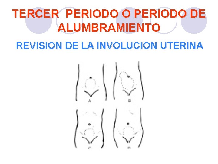TERCER PERIODO O PERIODO DE ALUMBRAMIENTO REVISION DE LA INVOLUCION UTERINA TERCER PERIODO O PERIODO DE ALUMBRAMIENTO REVISION DE LA INVOLUCION UTERINA