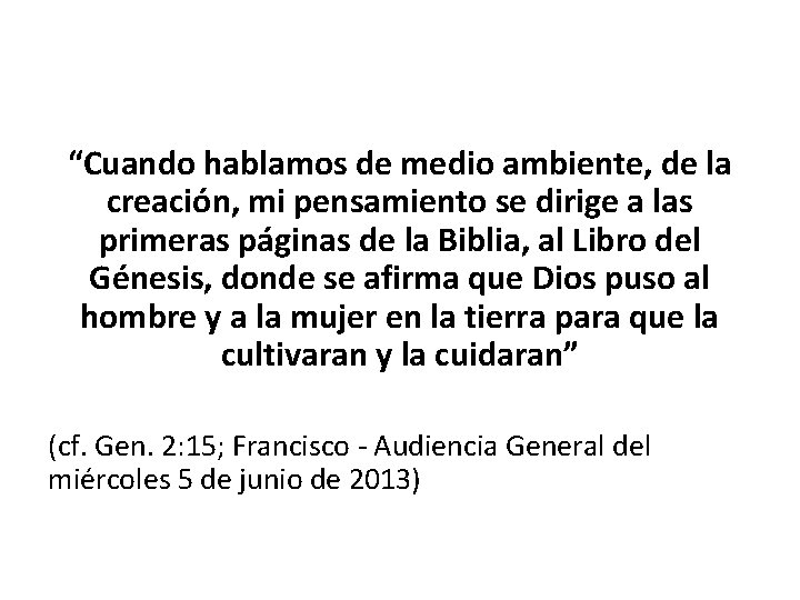 “Cuando hablamos de medio ambiente, de la creación, mi pensamiento se dirige a las