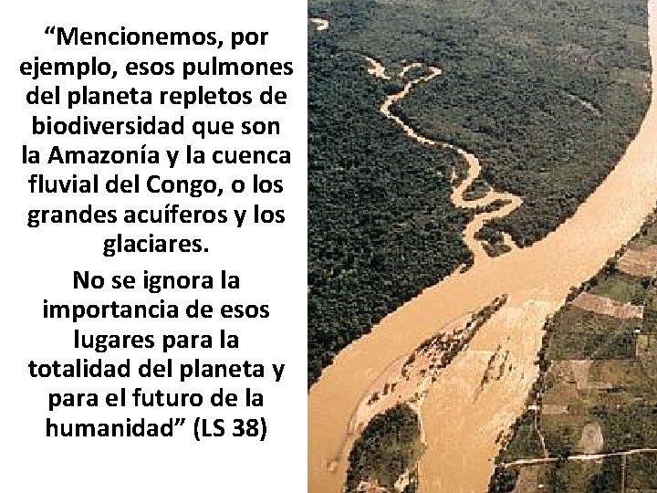 “Mencionemos, por ejemplo, esos pulmones del planeta repletos de biodiversidad que son la Amazonía