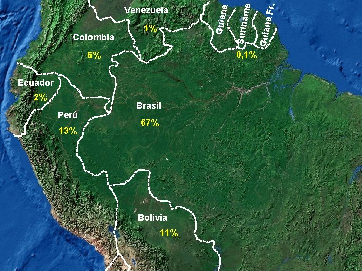 Ecuador Perú 13% Brasil 67% Bolivia 11% Guian a Fr. me 0, 1% 6%