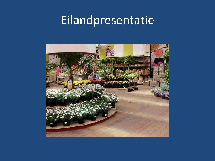 Eilandpresentatie 