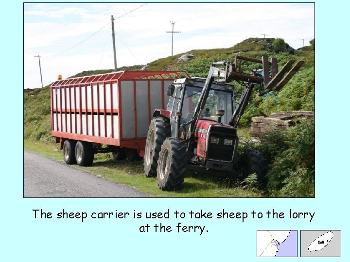 The sheep carrier is used to take sheep to the lorry at the ferry.
