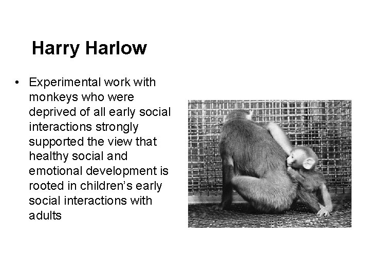 Harry Harlow • Experimental work with monkeys who were deprived of all early social
