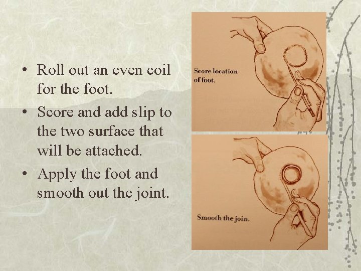 • Roll out an even coil for the foot. • Score and add • Roll out an even coil for the foot. • Score and add