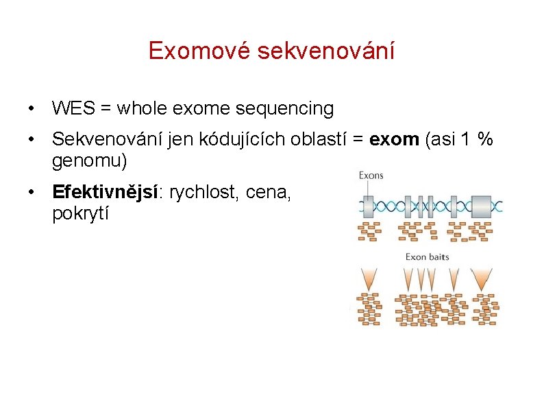 Exomové sekvenování • WES = whole exome sequencing • Sekvenování jen kódujících oblastí =
