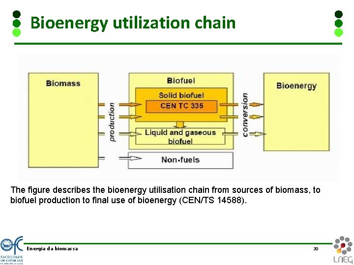 Bioenergy utilization chain The figure describes the bioenergy utilisation chain from sources of biomass,