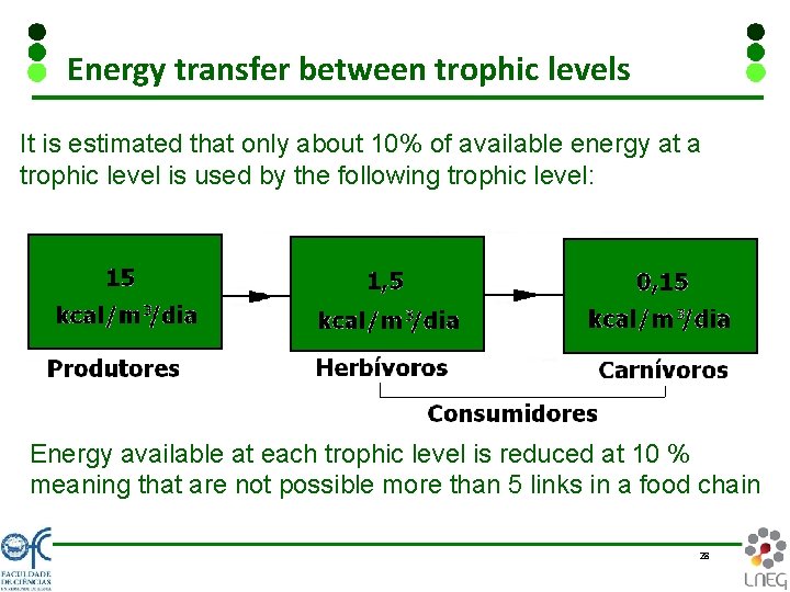Energy transfer between trophic levels It is estimated that only about 10% of available