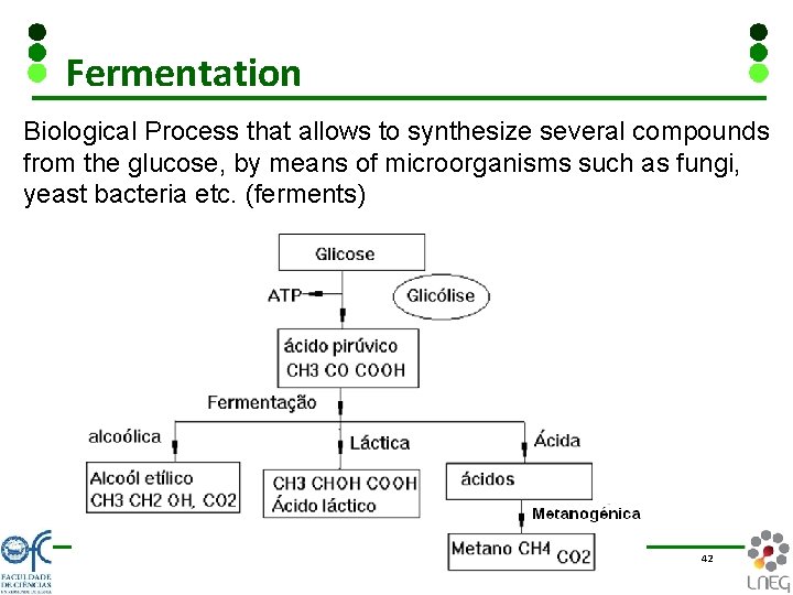 Fermentation Biological Process that allows to synthesize several compounds from the glucose, by means